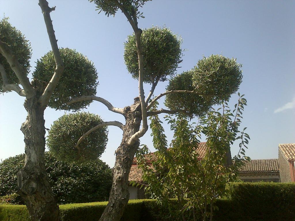 Etma Bed & Breakfast Sant'Alfio Luaran gambar