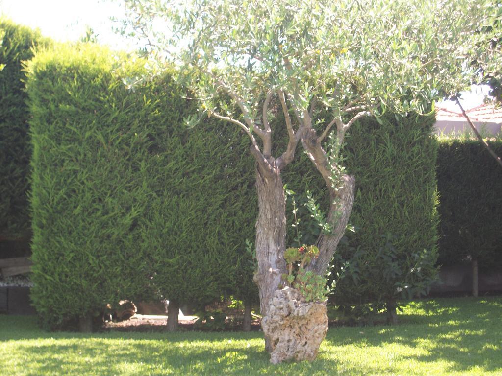 Etma Bed & Breakfast Sant'Alfio Luaran gambar